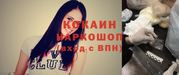 крисы Няндома