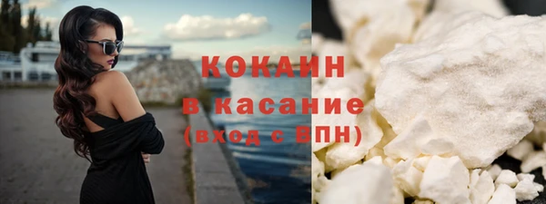 крисы Няндома