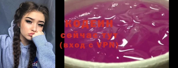 крисы Няндома