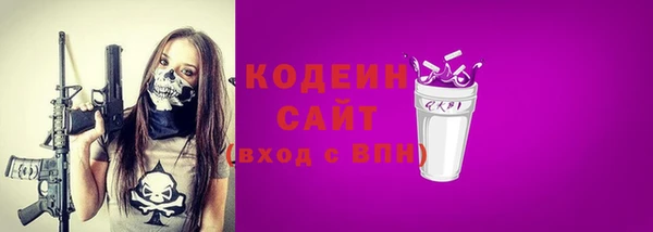 крисы Няндома