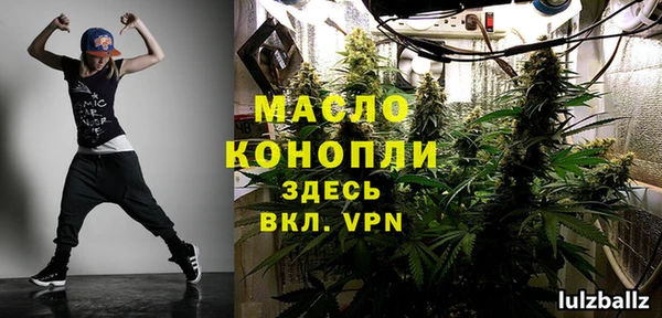 крисы Няндома