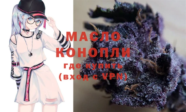 крисы Няндома