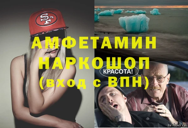 сатива Осташков