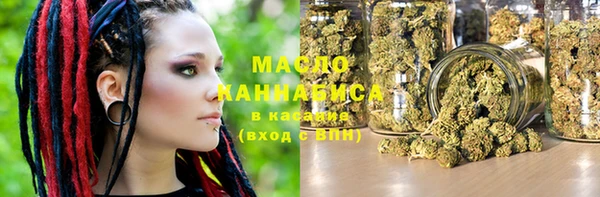 крисы Няндома