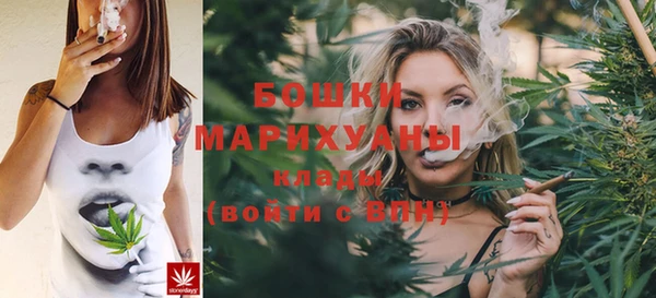 крисы Няндома