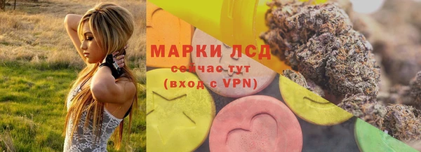 сатива Осташков