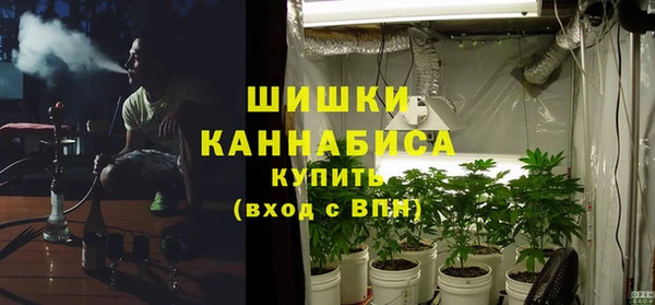 мдпв Осинники